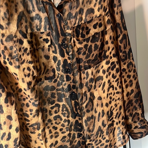 Forever 21 Black and Brown Ruffled Buttoned Blouse - Picture 9 of 14